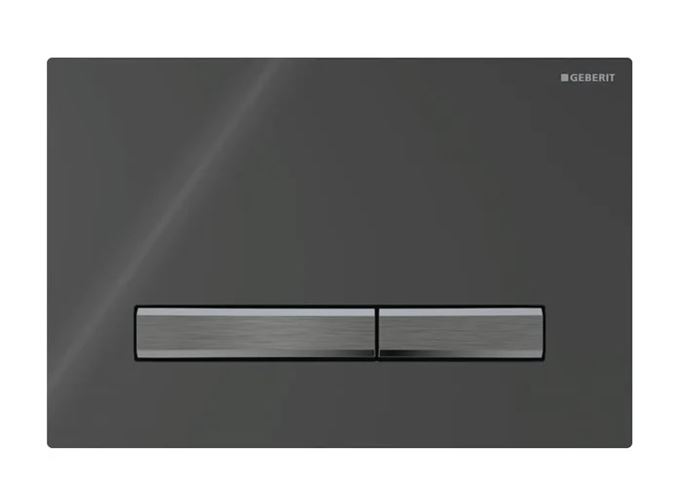 GEBERIT SIGMA 50 ovládací tlačítko pro dvě splachování, easy-to-clean, zinek/plast, černá  115.671.DW.2 Obrázek - Hlavní obrázek