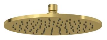 KLUDI A-QA horní sprcha pr. 250 mm, kartáčované zlato 