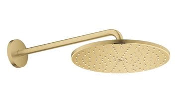 GROHE RAINSHOWER MONO 310 horní sprcha pr. 310 mm, s ramenem, Water Saving, kartáčovaný cool sunrise 26558GN0 Obrázek - fotka