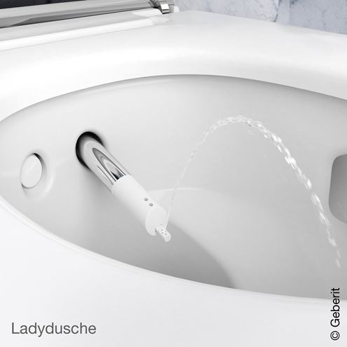 GEBERIT AQUACLEAN MERA COMFORT závěsné WC s bidetovým sedátkem, SoftClosing, TurboFlush, KeraTect, bílá 146.210.11.1 Obrázek - fotka