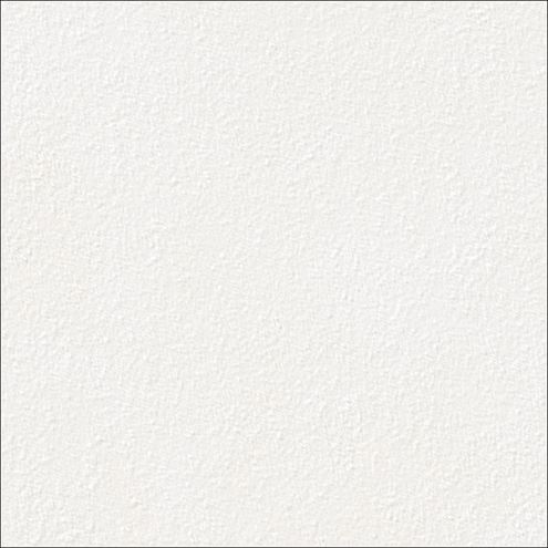 RAKO BETONICO OUTDOOR dlažba 60x60x2 cm, mat reliéf, bílošedá DAR66790 Obrázek - Hlavní obrázek