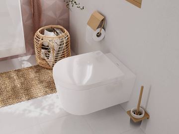HANSGROHE ADDSTORIS WC štětka, nástěnná, sklo, kartáčovaný bronz 41752140 Obrázek - fotka