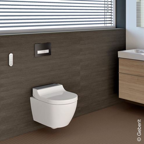 GEBERIT AQUACLEAN TUMA COMFORT závěsné WC s bidetovým sedátkem, SoftOpening, Rimless, KeraTect, bílá/kartáčovaná nerez 146.290.FW.1 Obrázek - fotka