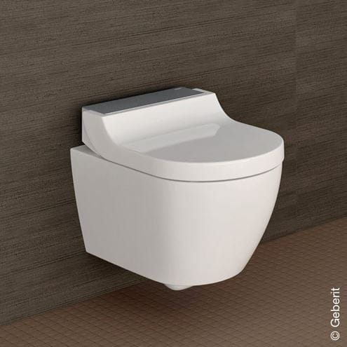 GEBERIT AQUACLEAN TUMA COMFORT závěsné WC s bidetovým sedátkem, SoftOpening, Rimless, KeraTect, bílá/kartáčovaná nerez 146.290.FW.1 Obrázek - fotka