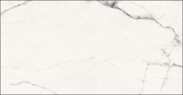 IMOLA THE ROOM dlažba 60x120 cm, mat, statuario vena piccola white