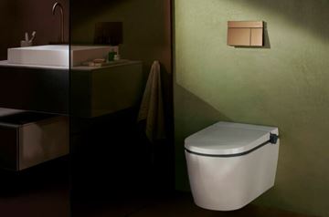HANSGROHE LAVA PURA ELEMENT S závěsné WC s bidetovým sedátkem, SoftClosing, AquaHelix Flush, HygieneEffect 63021450 Obrázek - fotka
