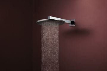 HANSGROHE RAINDANCE ALIVE S 300 1JET horní sprcha pr. 300 mm, chrom 24520000 Obrázek - fotka