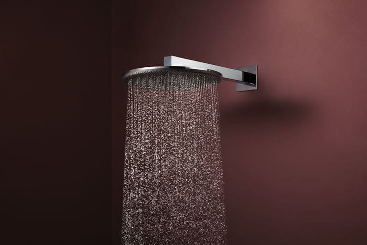 HANSGROHE RAINDANCE ALIVE S 300 1JET horní sprcha pr. 300 mm, chrom 24520000 Obrázek - fotka