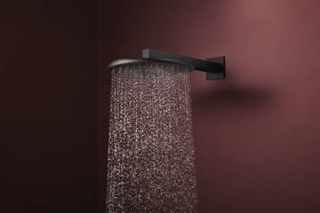 HANSGROHE RAINDANCE ALIVE S 300 1JET horní sprcha pr. 300 mm, matná černá 24520670 Obrázek - fotka