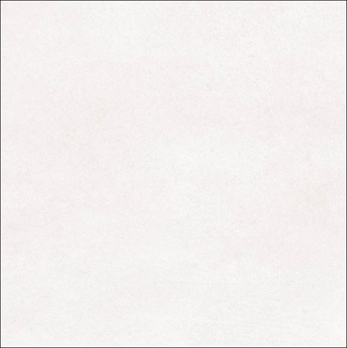 CIFRE PROGRESS dlažba 60x60 cm, mat, white PROGRESS WHITE/1,44 Obrázek - Hlavní obrázek