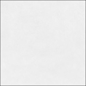 ARGENTA STANDARD dlažba 45x45 cm, mat, blanco