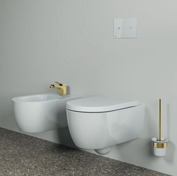 IDEAL STANDARD CONCA WC štětka, nástěnná, sklo, kartáčované zlato T4495A2 Obrázek - fotka