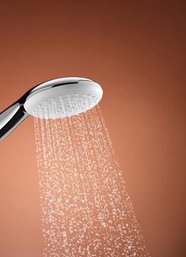 GROHE TEMPESTA 110 ruční sprcha pr. 110 mm, 2 proudy, chrom 2759730E Obrázek - fotka