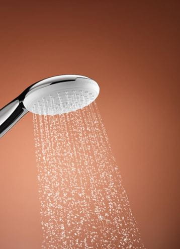 GROHE TEMPESTA 110 ruční sprcha pr. 110 mm, 2 proudy, chrom 2759730E Obrázek - fotka