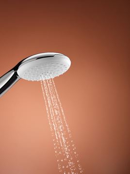 GROHE TEMPESTA 110 ruční sprcha pr. 110 mm, 2 proudy, chrom 2759730E Obrázek - fotka