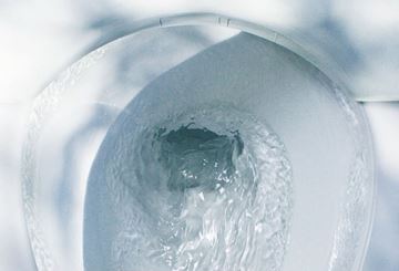 TOTO RP závěsné WC, Rimless splachování, matná bílá CW552RY#MW Obrázek - fotka