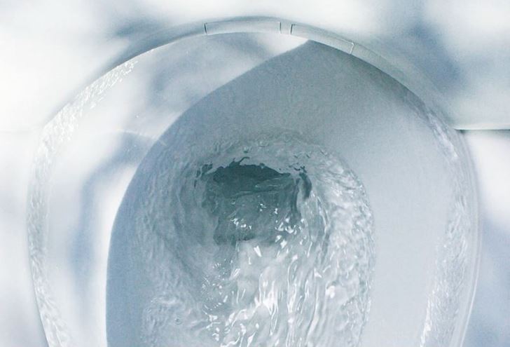 TOTO RP závěsné WC, Rimless splachování, matná bílá CW552RY#MW Obrázek - fotka