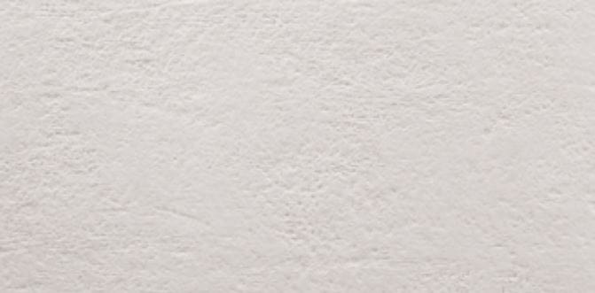 ARGENTA LIGHT STONE obklad 25x50 cm, mat, white LIGHT STONE WHITE Obrázek - Hlavní obrázek