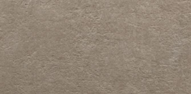 ARGENTA LIGHT STONE obklad 25x50 cm, mat, taupe LIGHT STONE TAUPE Obrázek - Hlavní obrázek