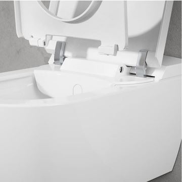 VILLEROY & BOCH VICLEAN sprchovací WC s bidetovým sedátkem, SoftClosing, DirectFlush, CeramicPlus, alpská bílá V0E100R1 Obrázek - fotka