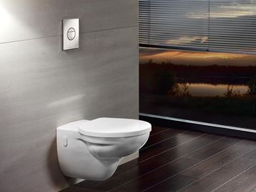 GROHE NOVA COSMOPOLITAN ovládací tlačítko pro dvě splachování, plast, chrom 38765000 Obrázek - fotka