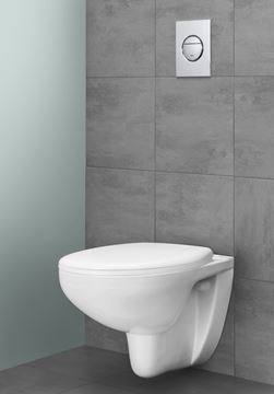 GROHE NOVA COSMOPOLITAN S ovládací tlačítko pro dvě splachování, plast, chrom 37601000 Obrázek - fotka