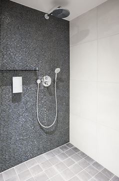 GROHE EUPHORIA 110 DUO ruční sprcha pr. 110 mm, 2 proudy, chrom 27220000 Obrázek - fotka