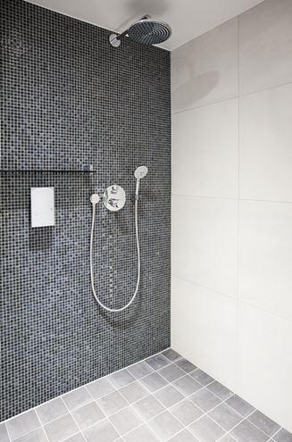 GROHE EUPHORIA 110 DUO ruční sprcha pr. 110 mm, 2 proudy, chrom 27220000 Obrázek - fotka