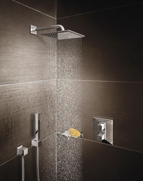 GROHE EUPHORIA CUBE+ STICK ruční sprcha 216 mm, chrom 27884001 Obrázek - fotka