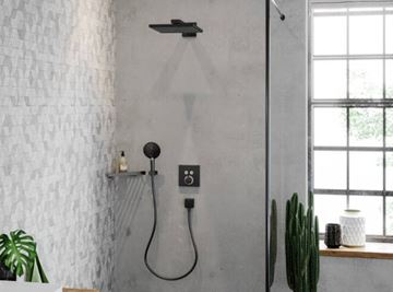HANSGROHE RAINDANCE SELECT S 120 3JET ruční sprcha pr. 125 mm, 3 proudy, EcoSmart, kartáčovaný černý chrom 26531340 Obrázek - fotka