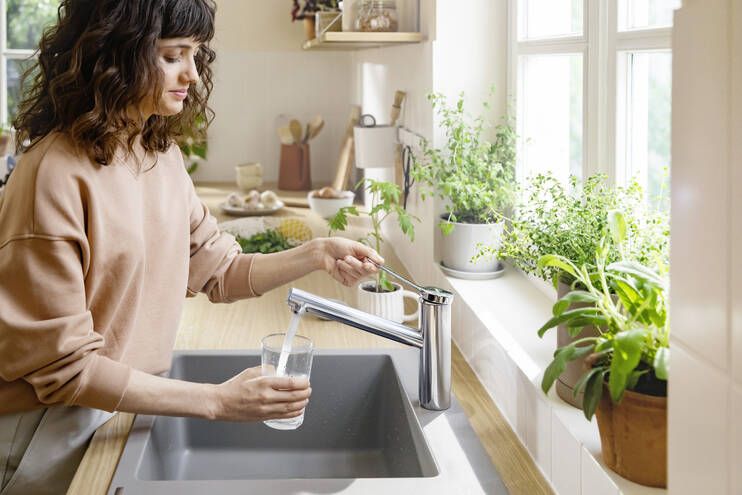 HANSGROHE ZESIS M33 dřezová baterie, chrom 74802000 Obrázek - fotka