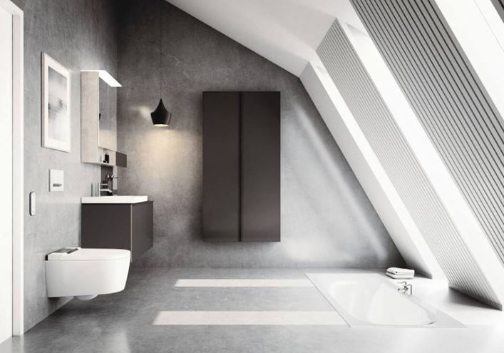 GEBERIT AQUACLEAN SELA závěsné WC s bidetovým sedátkem, SoftOpening, TurboFlush, KeraTect, bílá/chrom 146.222.21.1 Obrázek - fotka