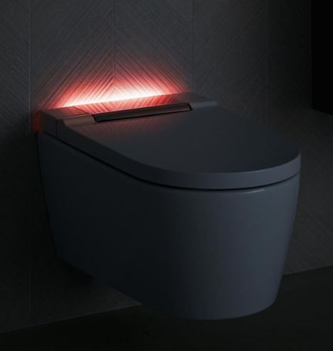 GEBERIT AQUACLEAN SELA závěsné WC s bidetovým sedátkem, SoftOpening, TurboFlush, KeraTect, bílá/chrom 146.222.21.1 Obrázek - fotka