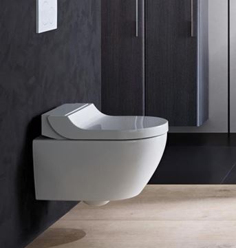 GEBERIT AQUACLEAN TUMA COMFORT závěsné WC s bidetovým sedátkem, SoftOpening, Rimless, KeraTect 146.292.11.1 Obrázek - fotka
