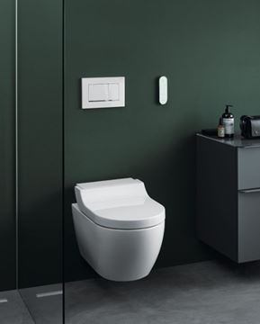 GEBERIT AQUACLEAN TUMA COMFORT závěsné WC s bidetovým sedátkem, SoftOpening, Rimless, KeraTect 146.292.11.1 Obrázek - fotka