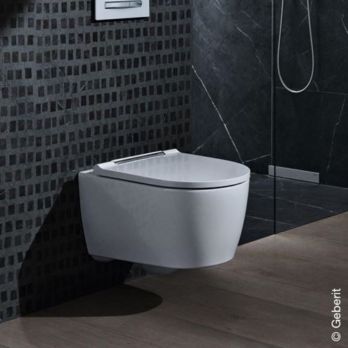 GEBERIT ONE závěsné WC se SoftClose sedátkem, TurboFlush splachování, KeraTect, matná bílá/lesklý chrom 500.202.01.1 Obrázek - fotka