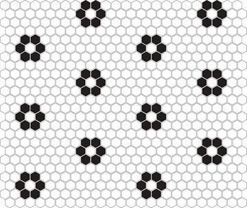 DUNIN HEXAGONIC mozaika 30x26(2,3x2,6)cm, lesk, white black flower MINI HEX. B&W FLOWER Obrázek - fotka