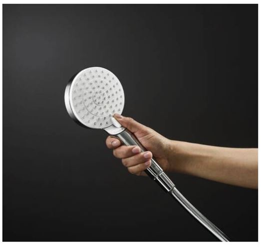 HANSGROHE CROMETTA 2JET ruční sprcha pr. 100 mm, 2 proudy, EcoSmart, bílá/chrom 26332400 Obrázek - fotka
