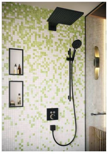 HANSGROHE RAINDANCE SELECT S 3JET ruční sprcha pr. 125 mm, 3 proudy, matná černá 26530670 Obrázek - fotka