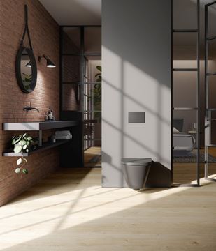 TECE VELVET ovládací tlačítko pro dvě splachování, Soft touch, kompozit FENIX NTM, antracit 9240731 Obrázek - fotka