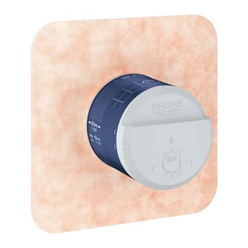 GROHE RAINSHOWER podomítkové těleso DN15 26484000 Obrázek - fotka