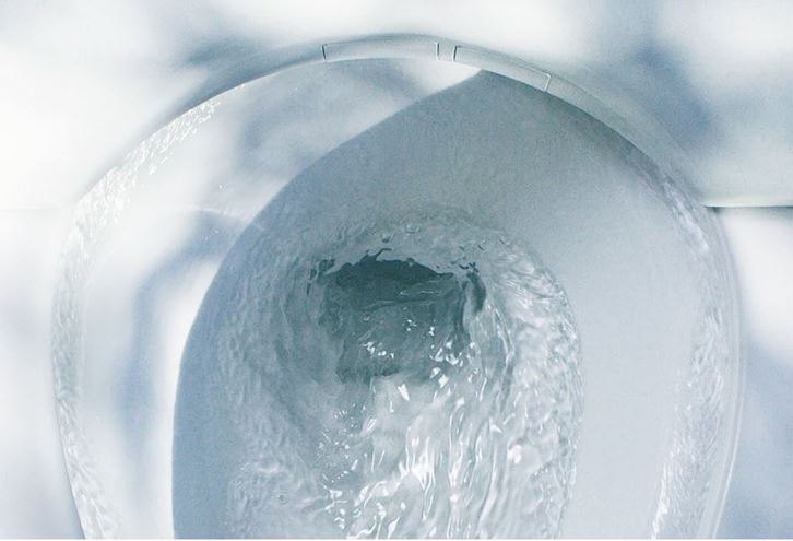 TOTO RP závěsné WC, se SoftClose sedátkem, Rimless splachování CW552RY+TC514G Obrázek - fotka