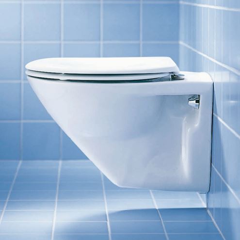 DURAVIT DURAPLUS WC sedátko, lesklá bílá 0064200000 Obrázek - fotka