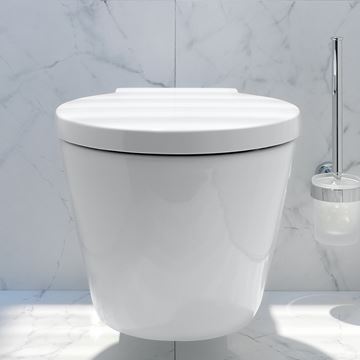 DURAVIT STARCK 1 WC sedátko, Soft-Close, lesklá bílá 0065880099 Obrázek - fotka