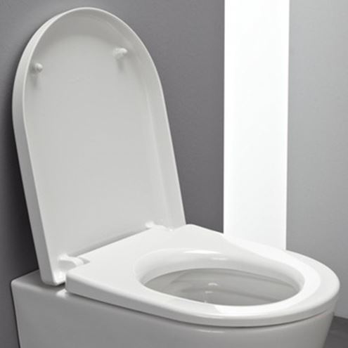 LAUFEN PRO WC sedátko, SoftClose, bílá H8919513000031 Obrázek - fotka