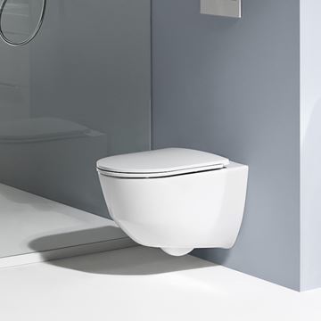 LAUFEN PRO WC sedátko Slim, SoftClose, bílá H8989660000001 Obrázek - fotka