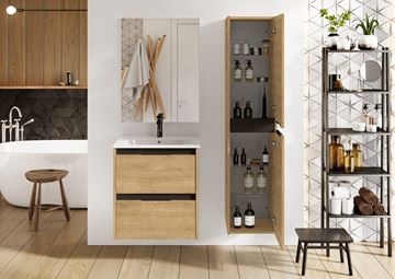 ROCA ALPINE skříňka pod umyvadlo 68,5x59x45,2 cm, 2 zásuvky, lesklá bílá A857864806 Obrázek - fotka
