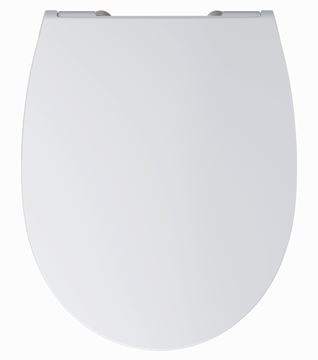 GROHE BAU CERAMIC WC sedátko Slim, SoftClose, alpská bílá 39898000 Obrázek - fotka