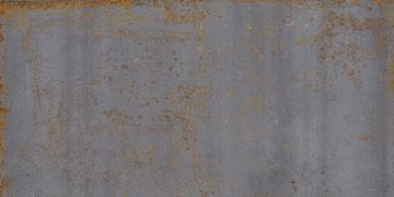 GARDENIA&ARIANA OXIDE dlažba 60x120 cm, mat, steel