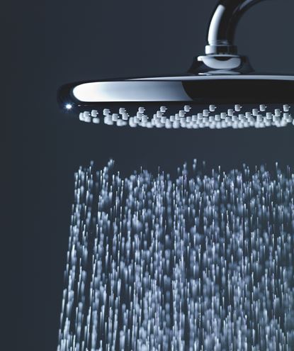 GROHE TEMPESTA 250 horní sprcha pr. 250 mm, s ramenem, Water Saving, chrom 26663000 Obrázek - fotka